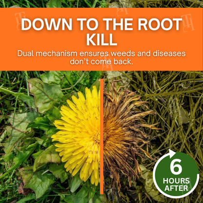 ✨ From Weed Jungle to Perfect Lawn! | ⏱️ Watch Weeds Wither in 6 Hours!  | 2-in-1 Max Power Herbicide (100% Glyphosate-Free)